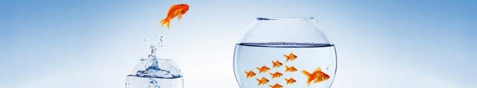 1stConveyancingSolicitors
